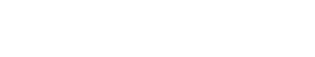 IELTSRise Logo